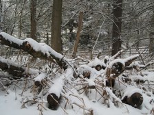Enlarge photo 15