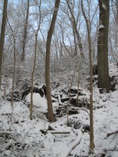 Enlarge photo 18
