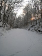 Enlarge photo 21