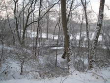 Enlarge photo 23