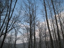 Enlarge photo 26