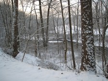 Enlarge photo 25