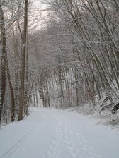 Enlarge photo 27