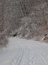 Enlarge photo 28