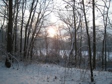 Enlarge photo 29