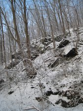 Enlarge photo 31