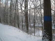 Enlarge photo 36