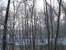 Enlarge photo 37