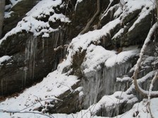 Enlarge photo 38