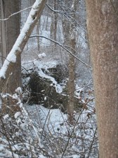 Enlarge photo 43