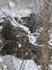 Enlarge photo 44