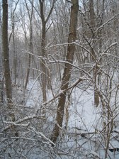 Enlarge photo 46