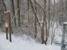 Enlarge photo 45