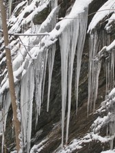 Enlarge photo 48