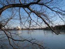 Enlarge photo 41