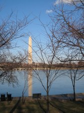 Enlarge photo 67