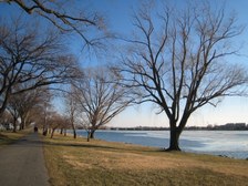 Enlarge photo 68