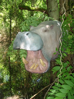 2010-11 Plantation Bottoms'