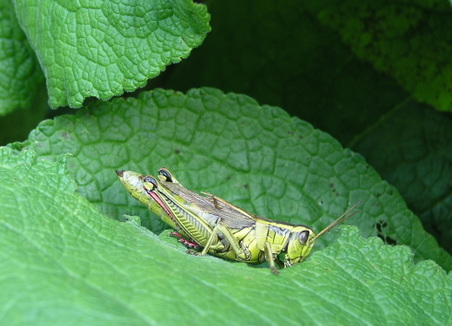 Enlarge photo 6