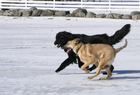 Enlarge photo 10