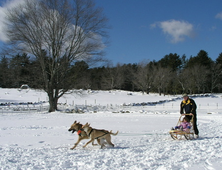 Enlarge photo 11