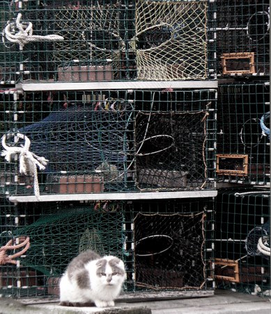 Enlarge photo 6