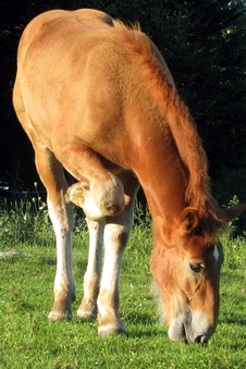 Enlarge photo 6