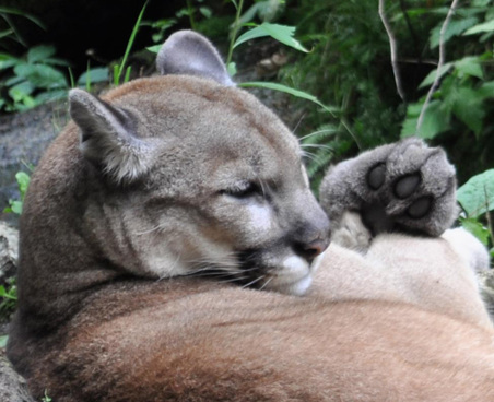 Enlarge photo 3