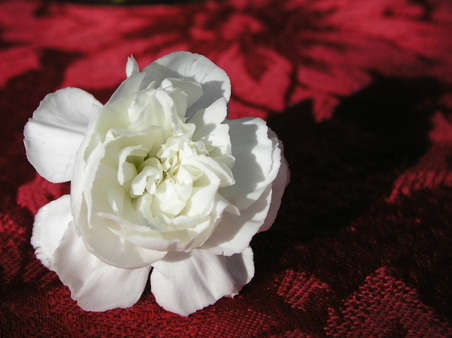 Enlarge photo 7