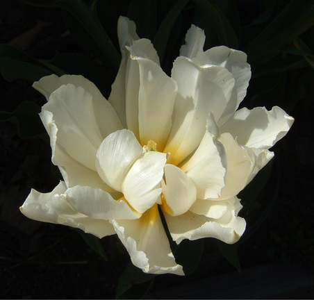 Enlarge photo 11