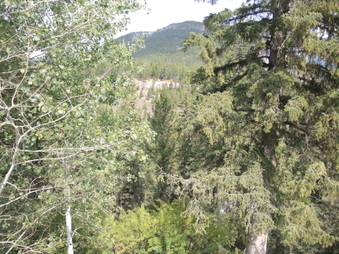 Enlarge photo 97