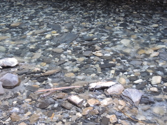 Enlarge photo 126