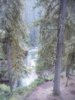 Enlarge photo 132