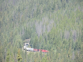 Enlarge photo 146
