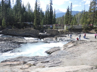 Enlarge photo 157