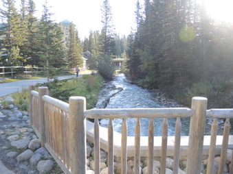 Enlarge photo 181