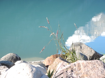 Enlarge photo 182