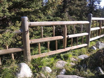 Enlarge photo 189