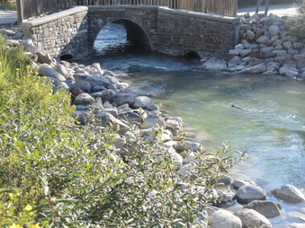 Enlarge photo 191