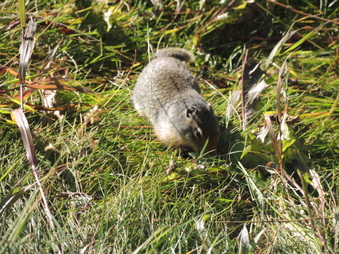 Enlarge photo 192
