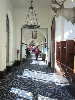 Enlarge photo 204