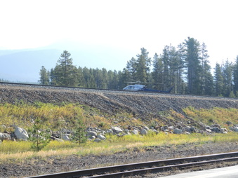 Enlarge photo 241