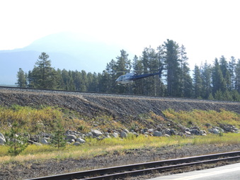 Enlarge photo 242