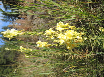 Enlarge photo 247