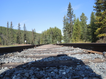 Enlarge photo 248