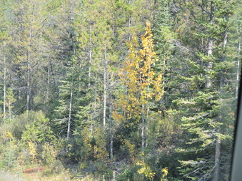 Enlarge photo 267
