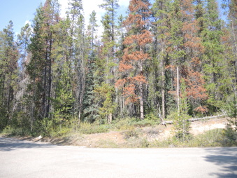 Enlarge photo 269