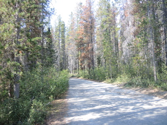Enlarge photo 273