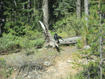 Enlarge photo 275