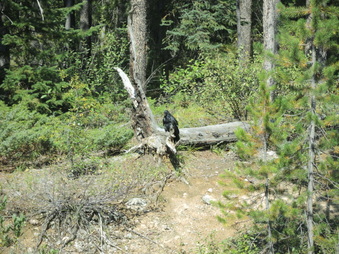Enlarge photo 276